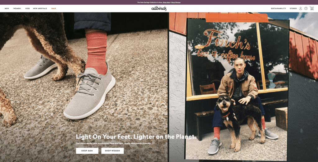 Screenshot of Allbirds website to show the companies brand personality