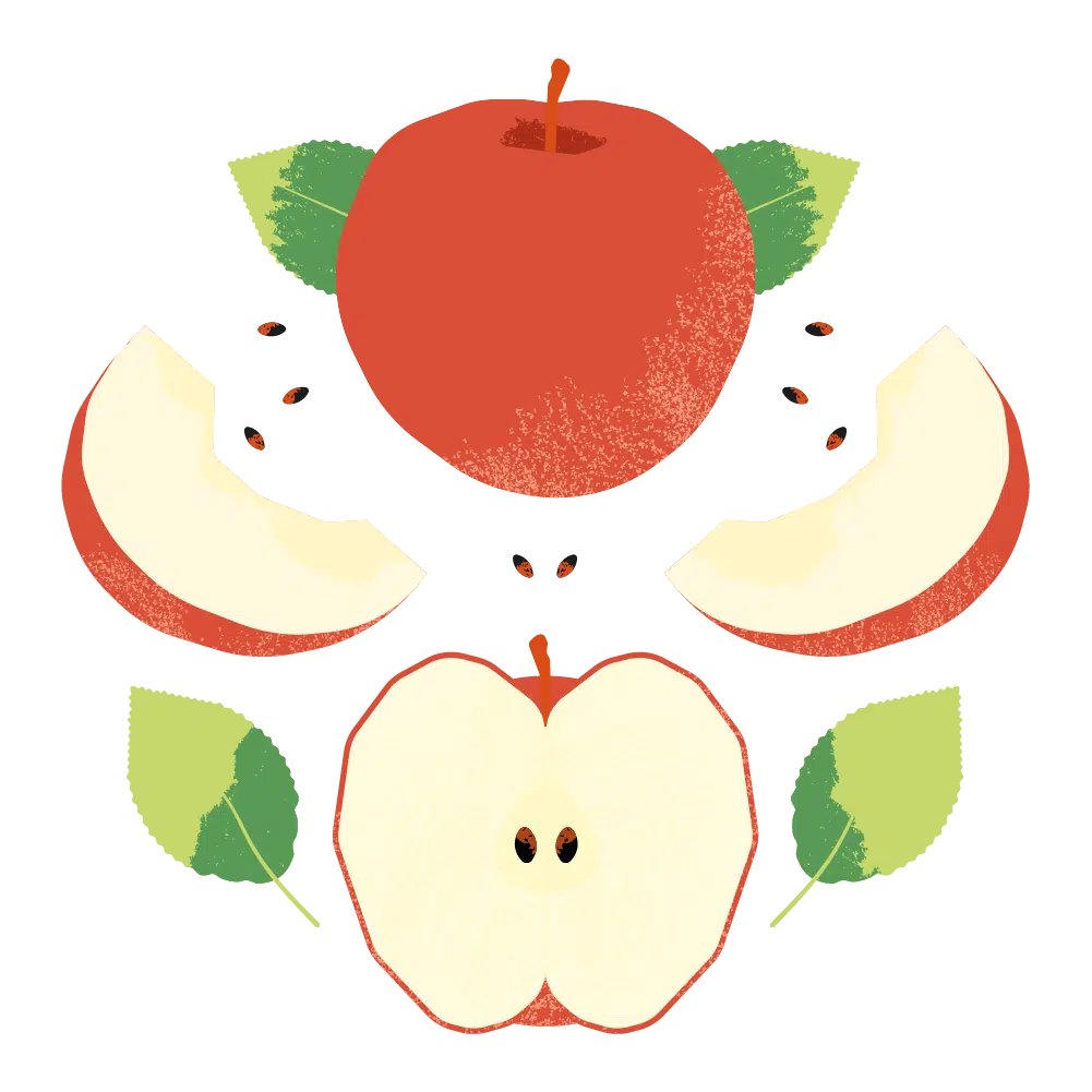 Apple juice label illustration for Vivila’s bag in box packaging