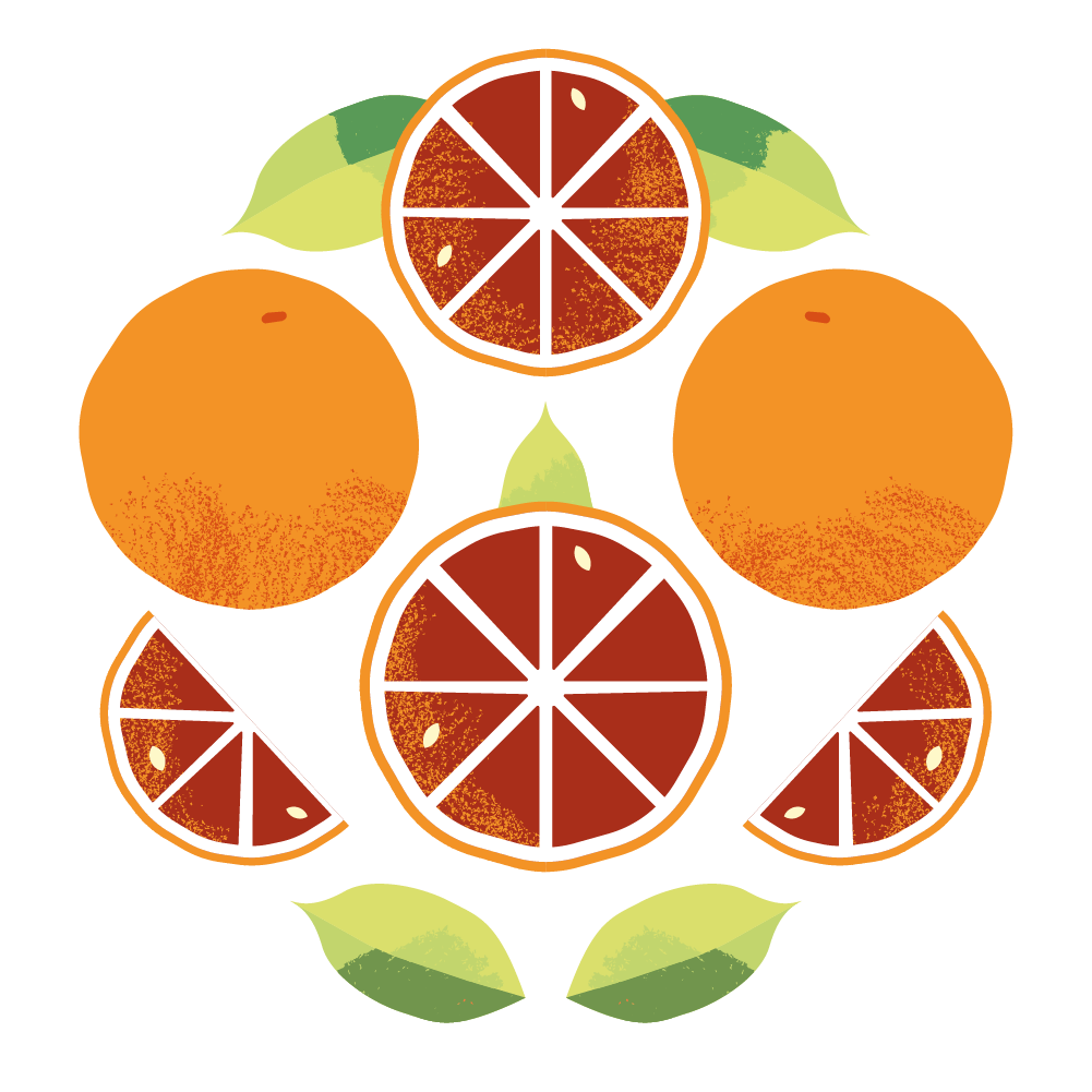 Grapefruit label illustration for Vivila’s bag in box packaging