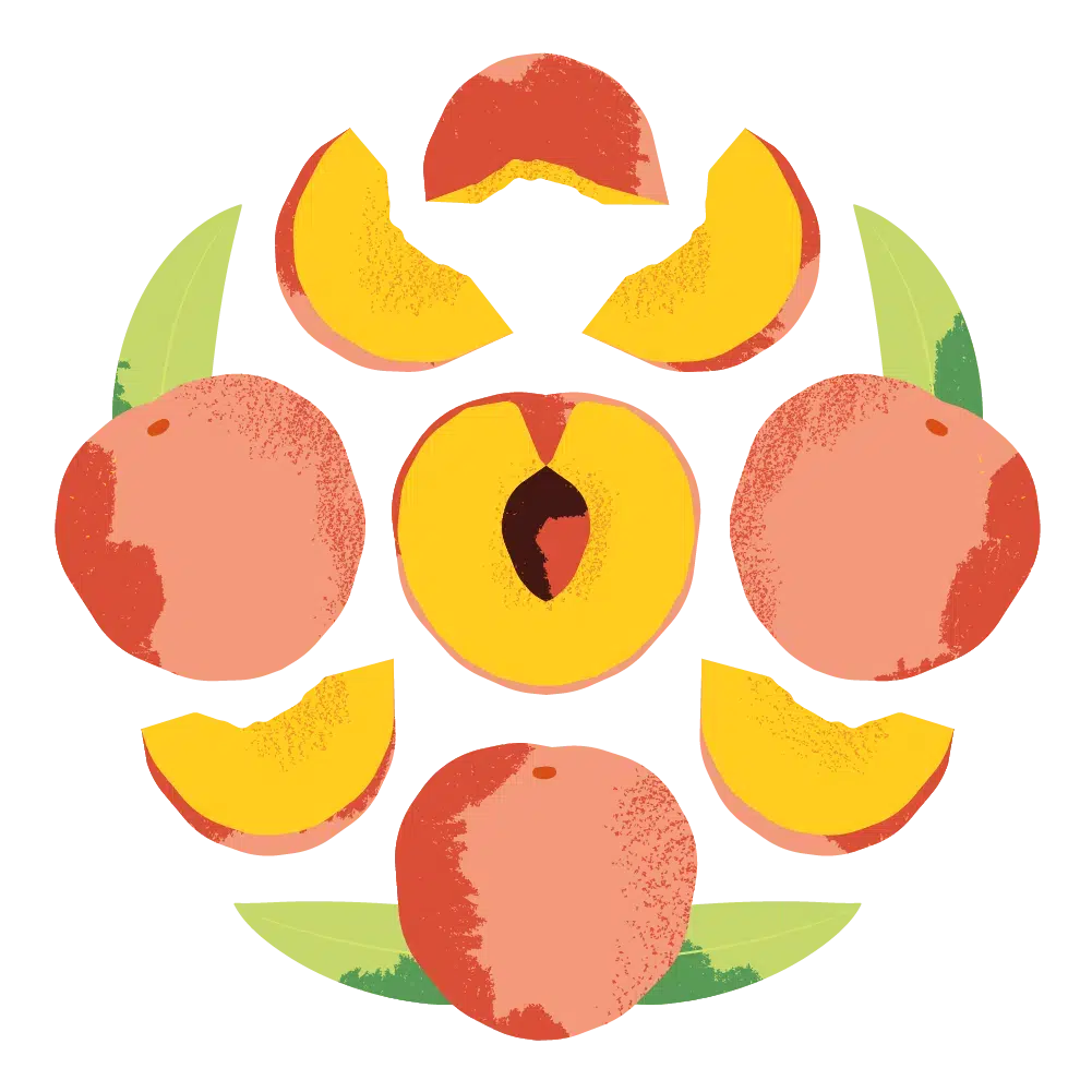 Iced Tea Peach label illustration for Vivila’s bag in box packaging