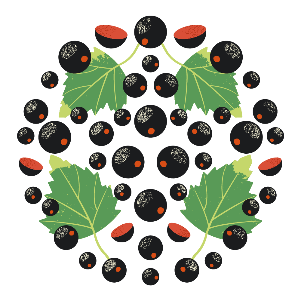 Cassis label illustration for Vivila’s bag in box packaging