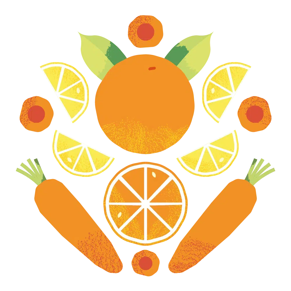 Orange, carrot label illustration for Vivila’s bag in box packaging