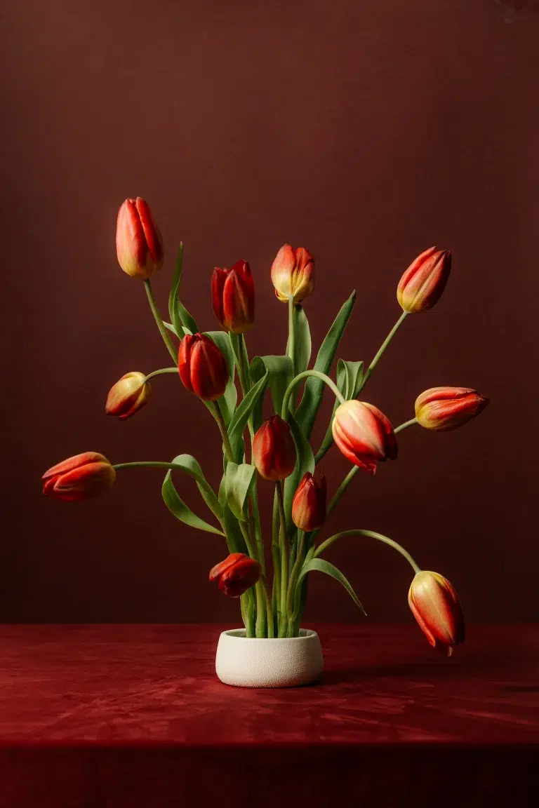 Artistic floral arrangement featuring red and burgundy blooms in still life, example of curated aesthetic stock imagery from Kaboompics
