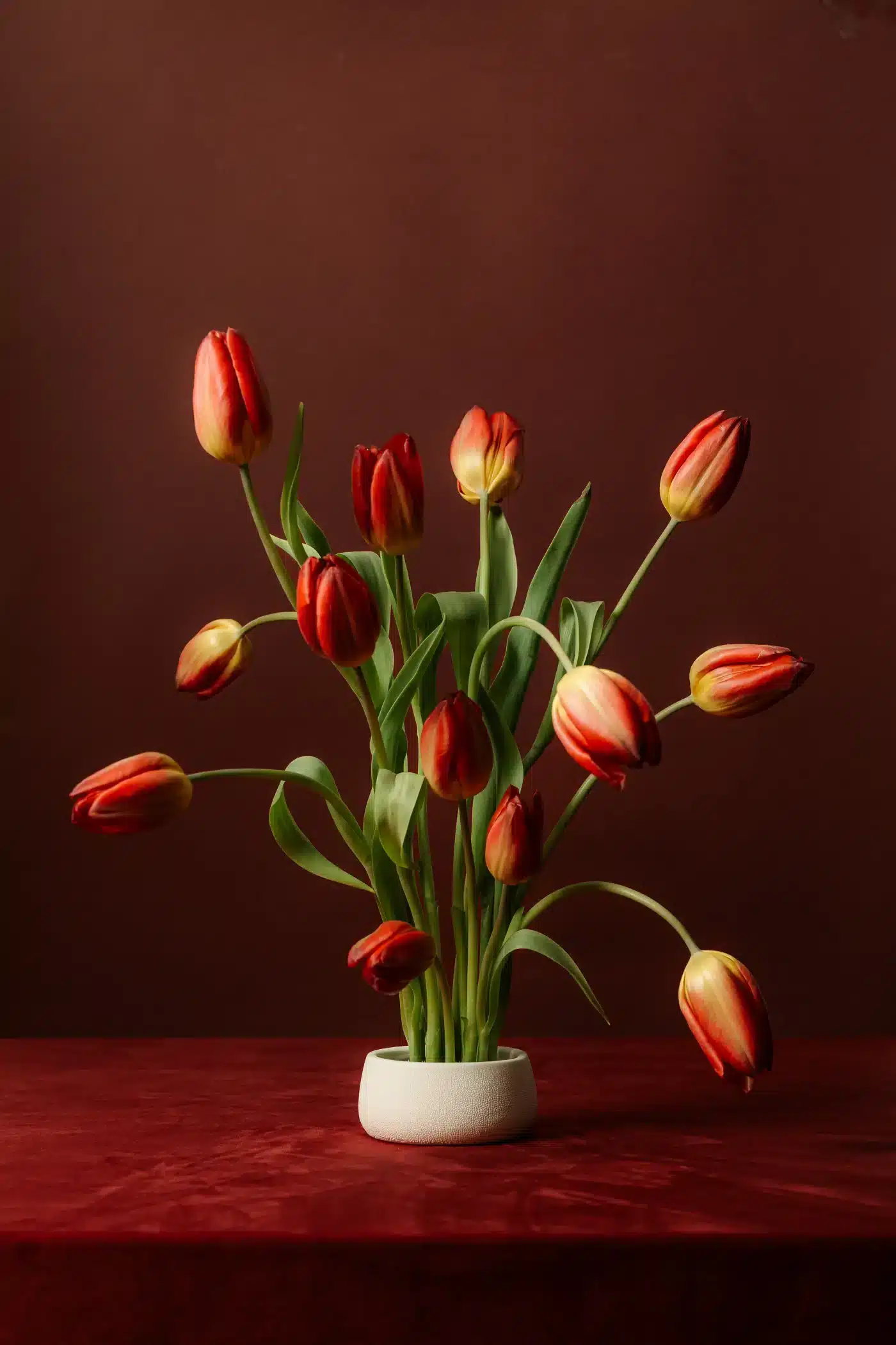 Artistic floral arrangement featuring red and burgundy blooms in still life, example of curated aesthetic stock imagery from Kaboompics